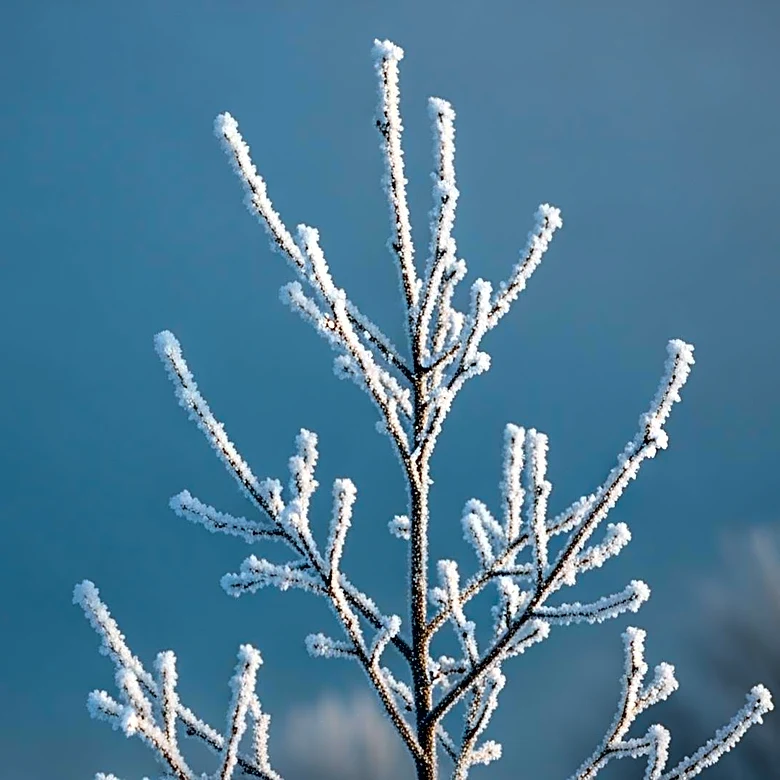 Cold Front in North Texas Brings Sharp Temperature Drop and Near-Freezing Wind Chills
