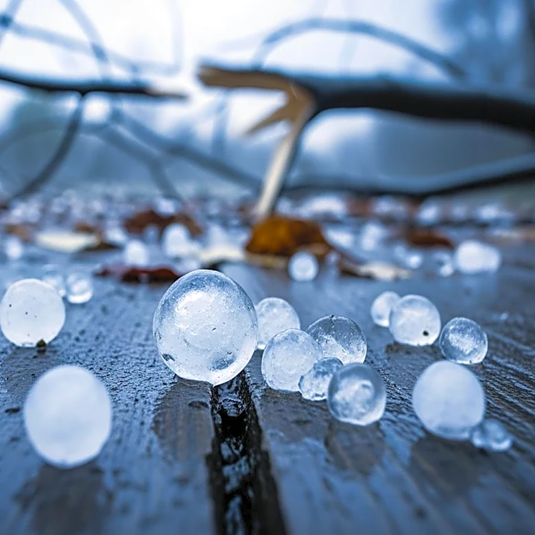 Severe Hailstorm Hits Tyler, Texas, Causing Damage to Homes and Trees