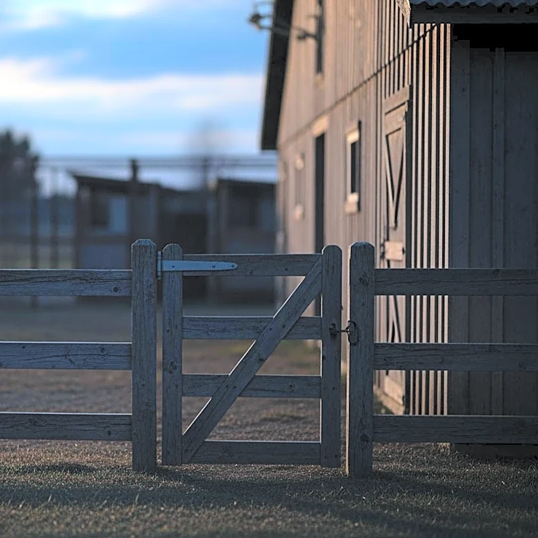 Animal Activists Attempt Second Raid on Wisconsin Beagle Breeding Facility Amid Controversy