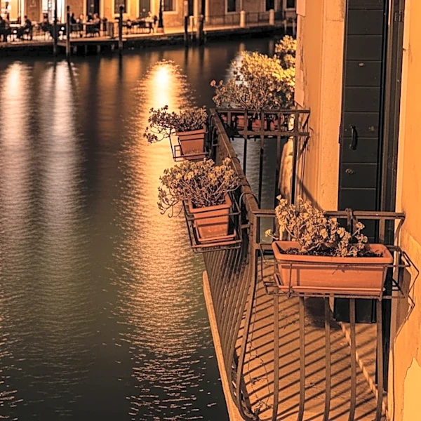 Venice Resident's Noise Complaints Lead to Public Backlash Amid Bar Dispute