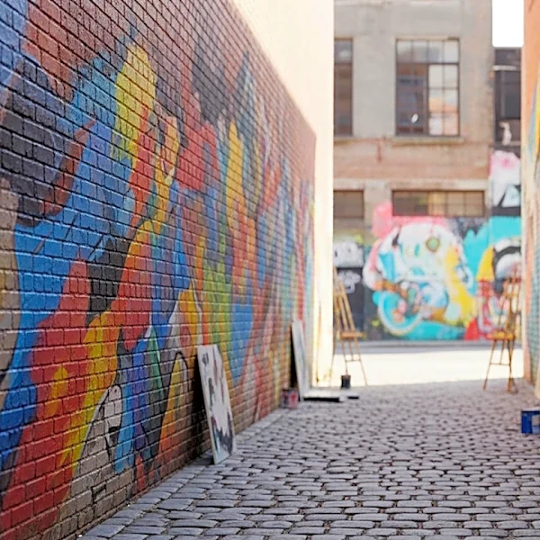 Community Initiative Transforms Cota 905 into an Open-Air Art Gallery