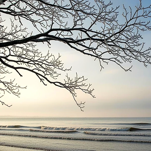 Cold Front Brings Sub-Freezing Temperatures to NYC Suburbs, Coastal Flood Advisories Issued