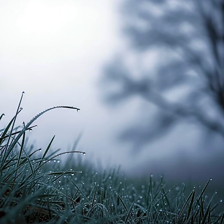 North Texas Weather Forecast Predicts Rain Chances Following Chilly Start