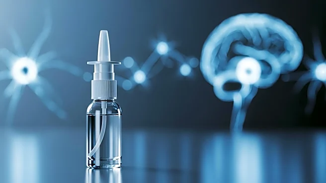 Texas A Researchers Develop Nasal Spray to Reverse Brain Aging, Offering Hope for Dementia Patients