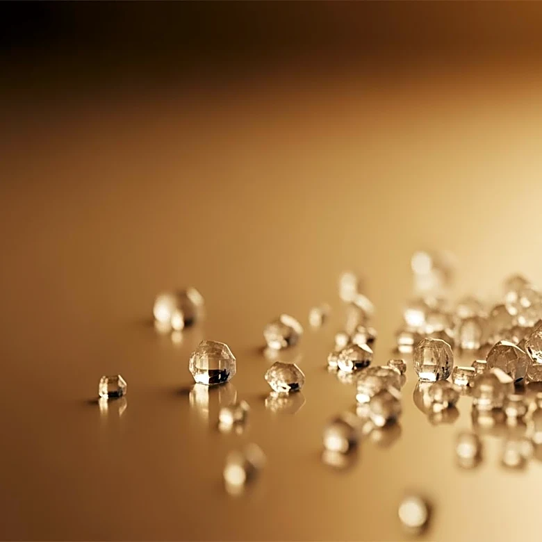 Fructose's Role in Obesity and Metabolic Syndrome Highlighted in New Study