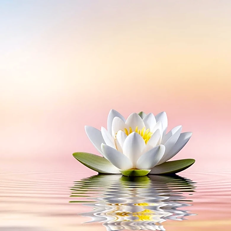 Taylor Frankie Paul Shares Healing Journey After Domestic Dispute