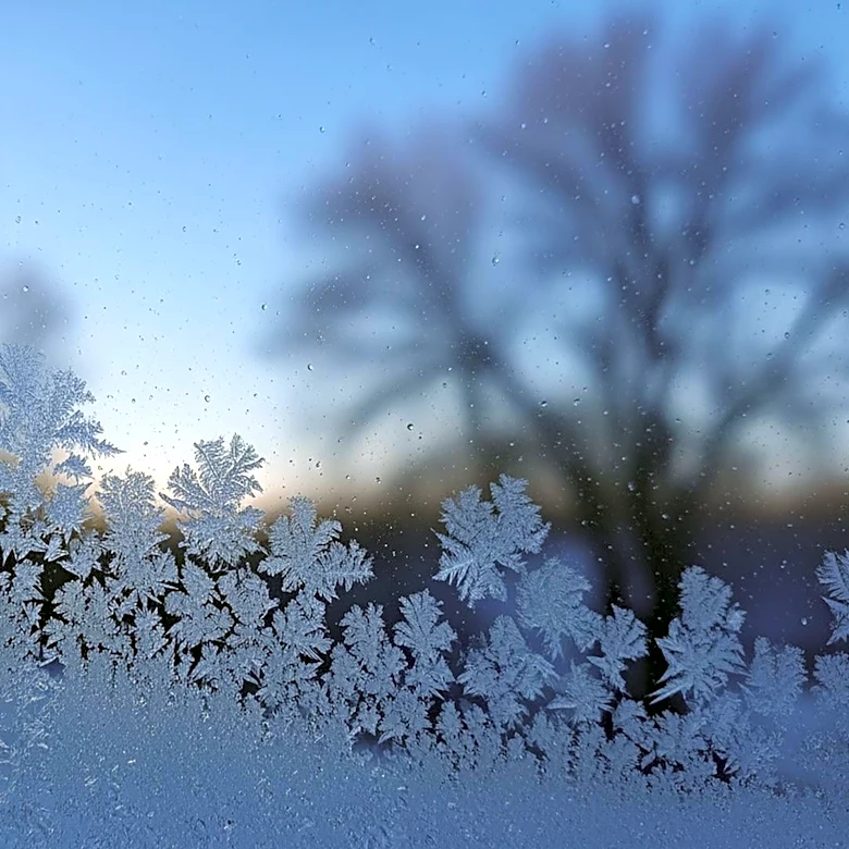 Cold Weather Forecasted to Start the Work Week in New York