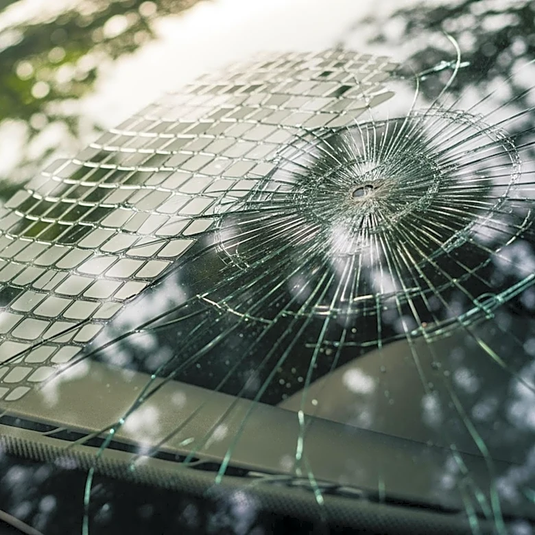 Florida Woman Survives Car Crash with Alligator, Faces Long Recovery