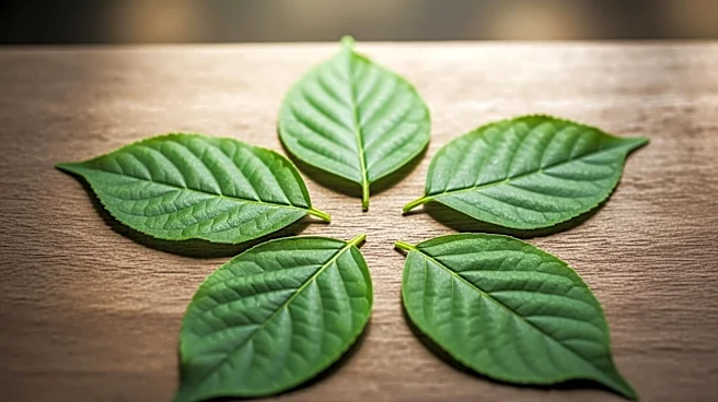 Goldman Environmental Prize Recognizes Six Female Grassroots Activists for Environmental Achievements