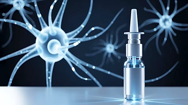 New Nasal Spray Treatment Shows Promise in Reversing Brain Aging and Memory Loss