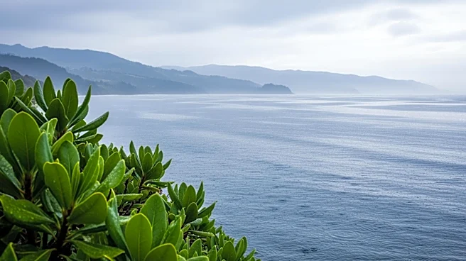 Southern California to Experience Cooler Temperatures and Light Rain After Warm Weekend