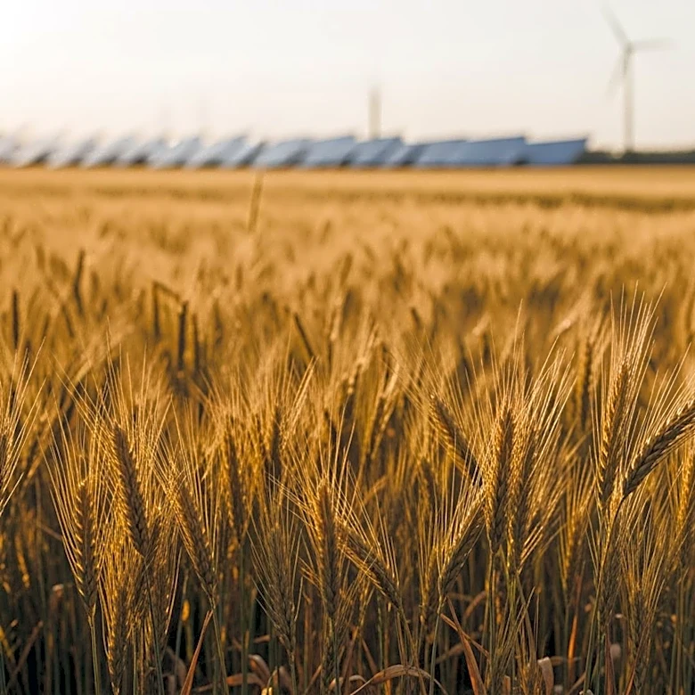 USDA Rural Development Allocates $11.5 Million for Iowa's Agriculture and Renewable Fuels