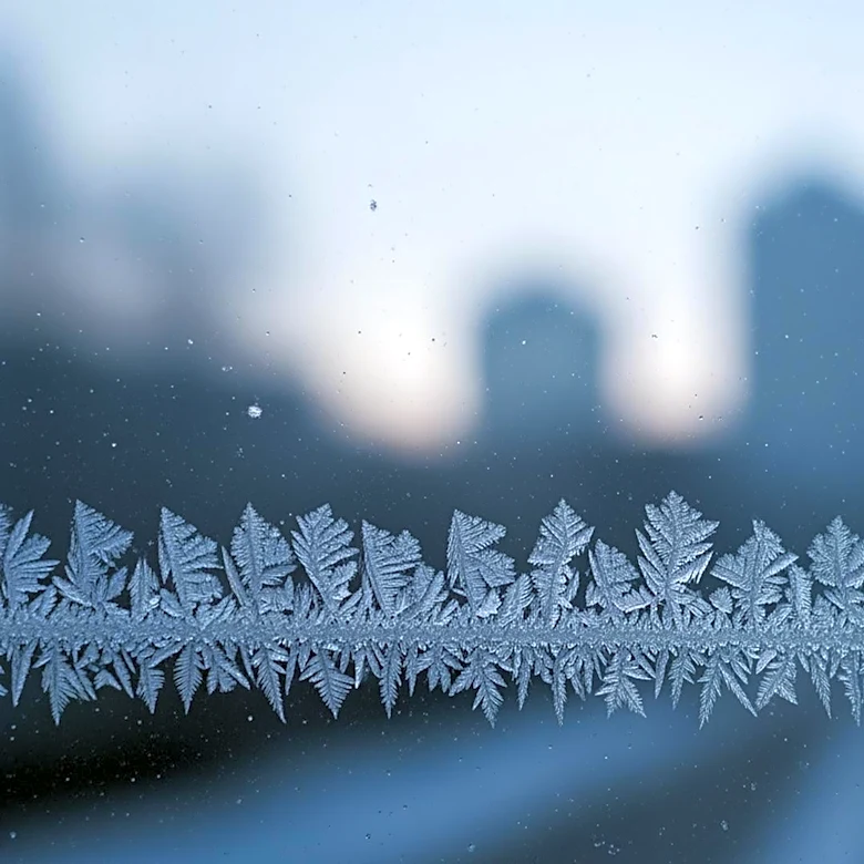 Chicago Experiences Frosty Start to Monday Morning with Cold Weather Forecast