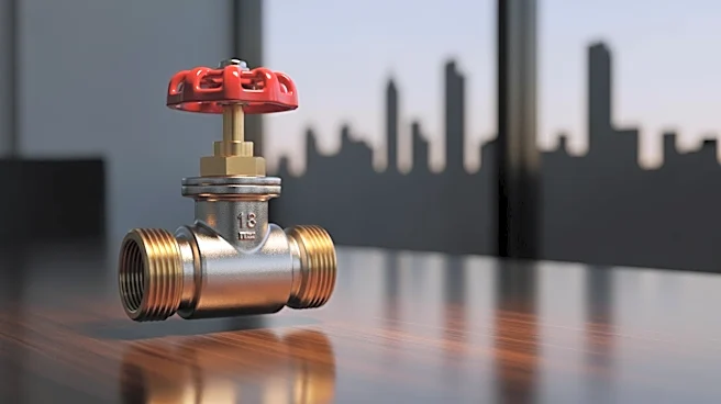 Georgetown Considers Selling Water System to Private Provider Amid Growth Challenges