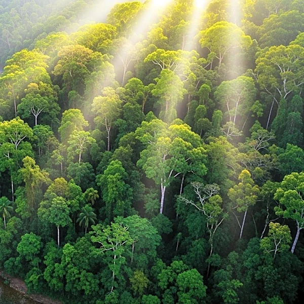 Brazil Promotes Ecotourism to Boost Conservation Efforts for Earth Day 2026