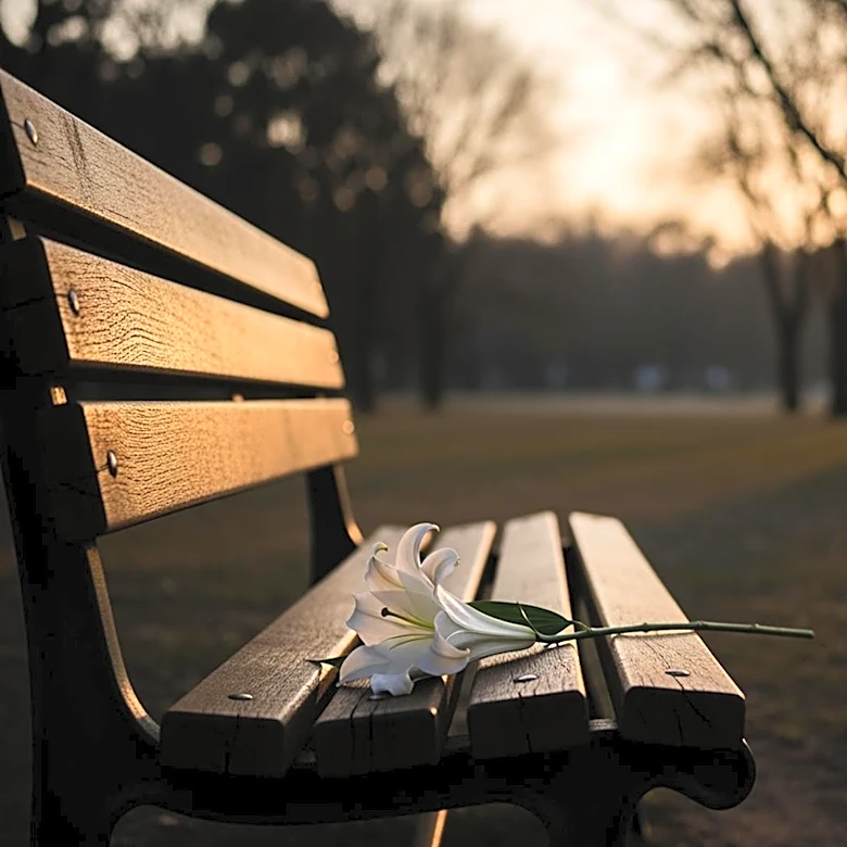 Mother of Fallen Soldier Reveals Son's Death in Attempted Rescue of Bibas Family