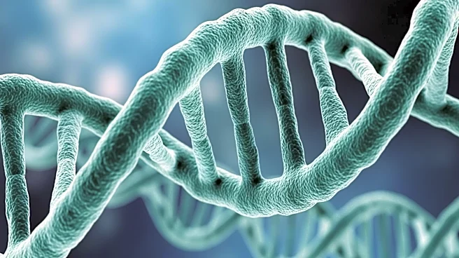 Scientists Discover Cyanobacteria's DNA System Evolution to Shape Cells