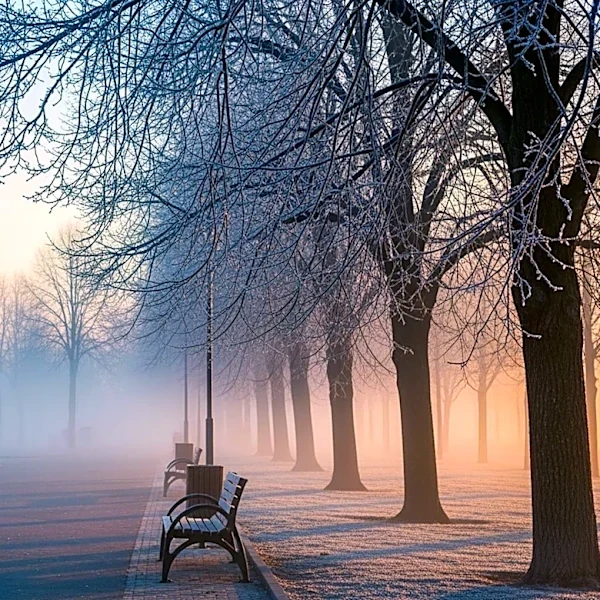 Spring Chill Forecasted for New York Area on Monday