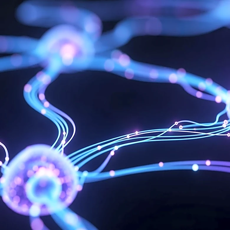 Research Links Tinnitus Severity to Serotonin Brain Circuit