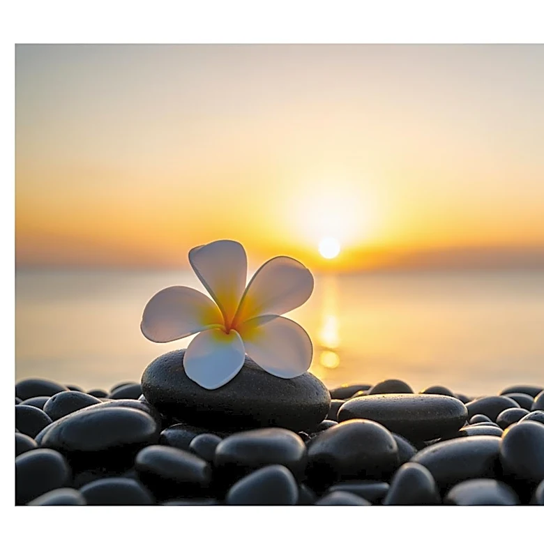 Former Hawaii Governor George Ariyoshi Passes Away at 100, Leaving a Legacy of Friendship