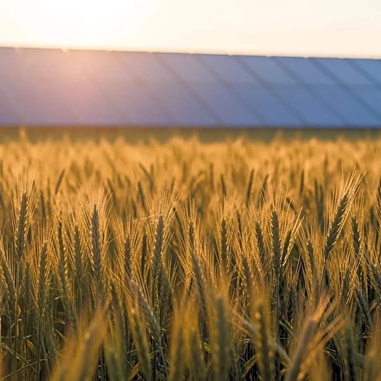 President Trump Alters Solar Subsidy Rules, Impacting American Farmers