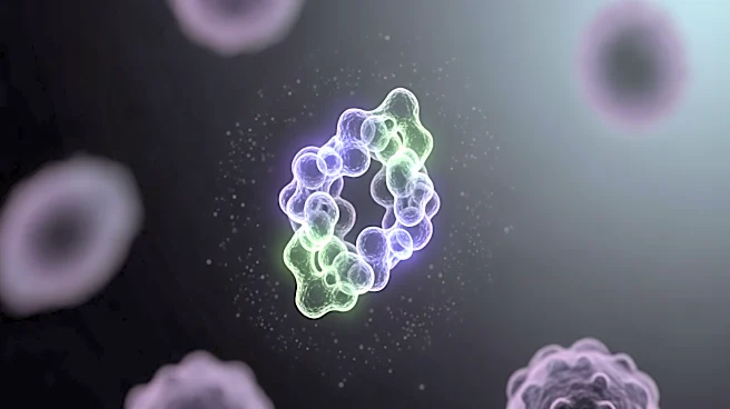 Researchers Identify Key Protein in Stem Cell Aging Process