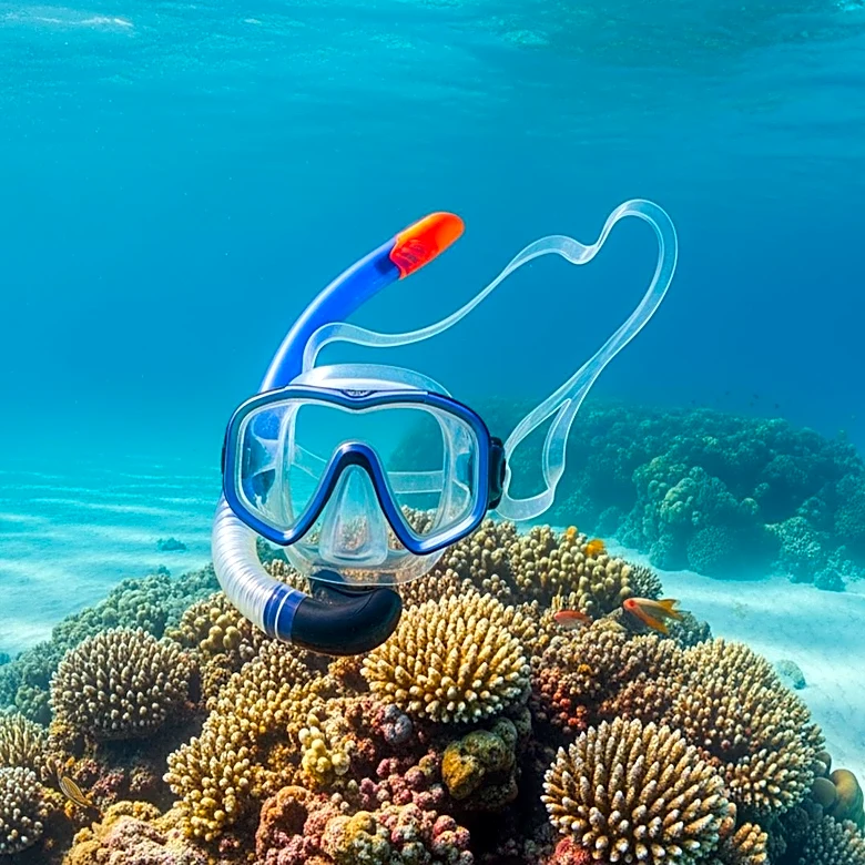 Carnival Cruise Passenger Dies While Snorkeling Near Australian Island