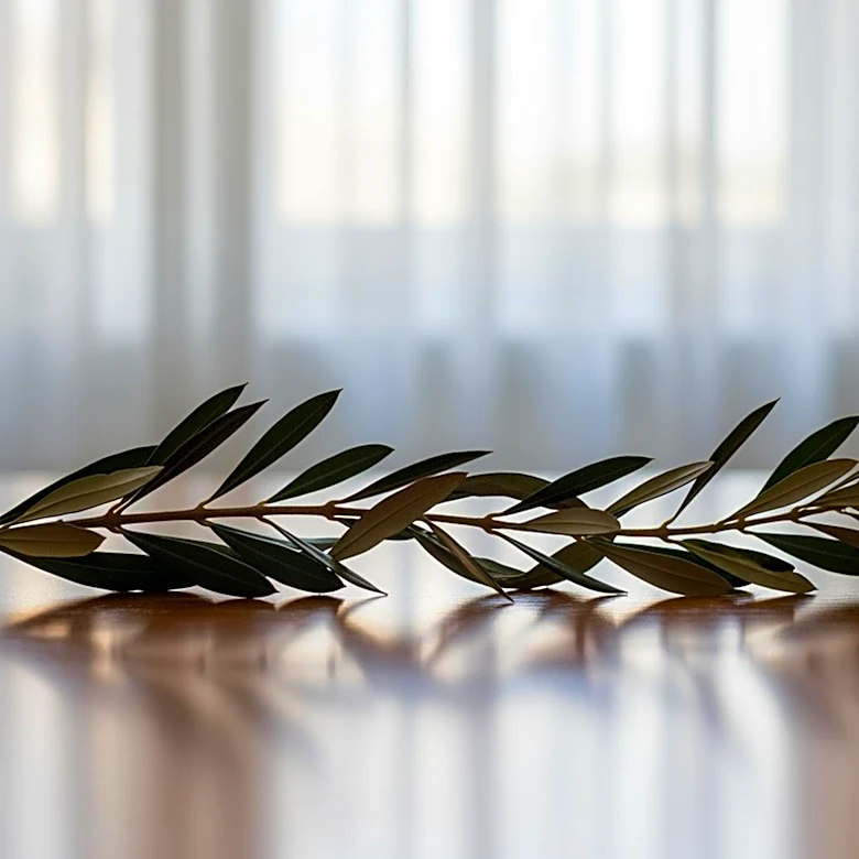 Spain's Proposal to Suspend EU-Israel Agreement Faces Strong Opposition