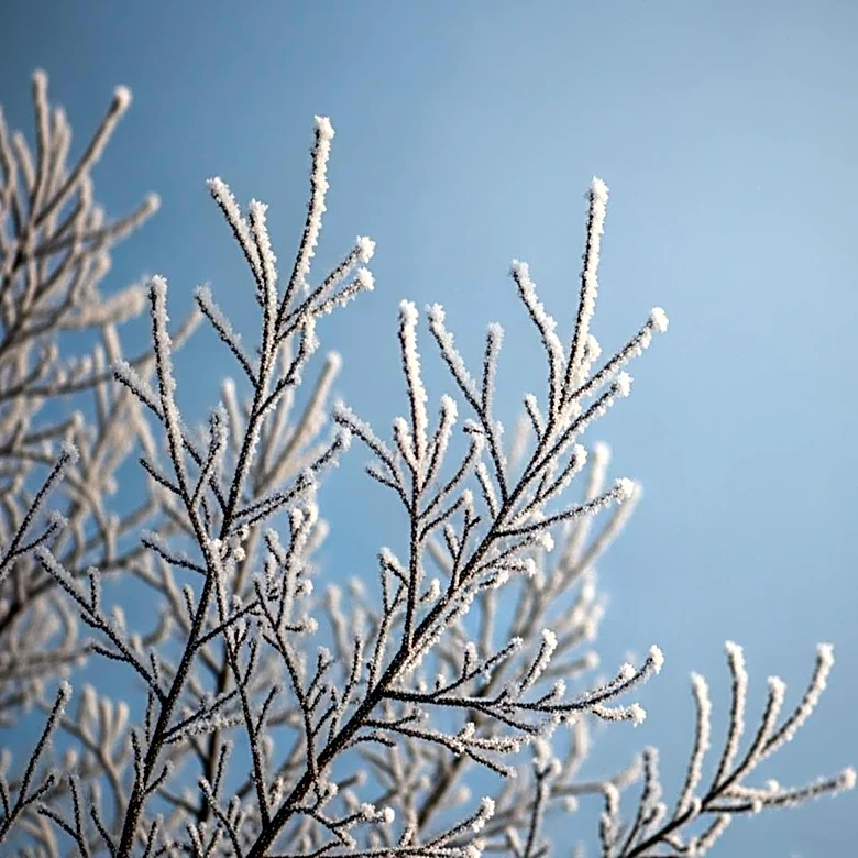 Philadelphia Faces Freeze Warning Amid Sudden Temperature Drop