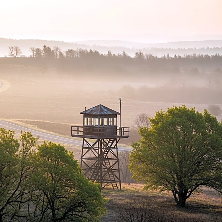 Evacuation Order Lifted After Fire Near Wellington