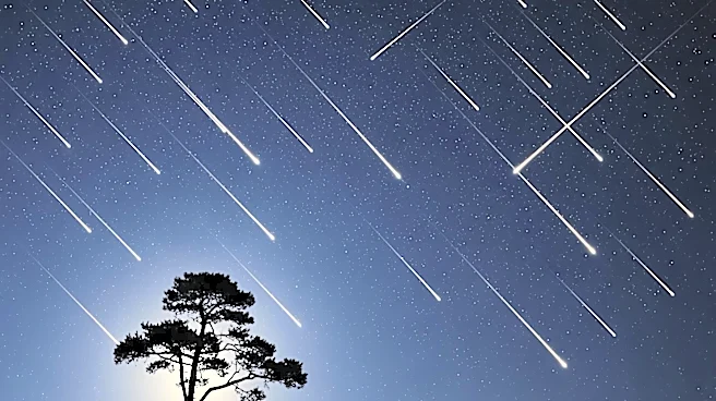 Lyrid Meteor Shower Peaks, Offering Spectacular Night Sky Show