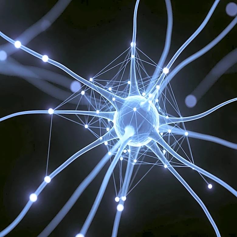 NYU Langone Study Links Early Immune Changes to Increased Alzheimer's Risk