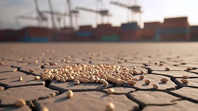 Middle East Conflict Intensifies Pressure on Global Food Supply Chains, Warns FAO