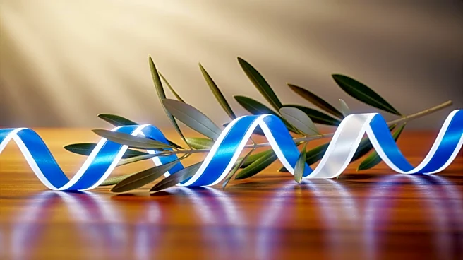 Argentine President Javier Milei Praises Israel's Independence Day Celebration