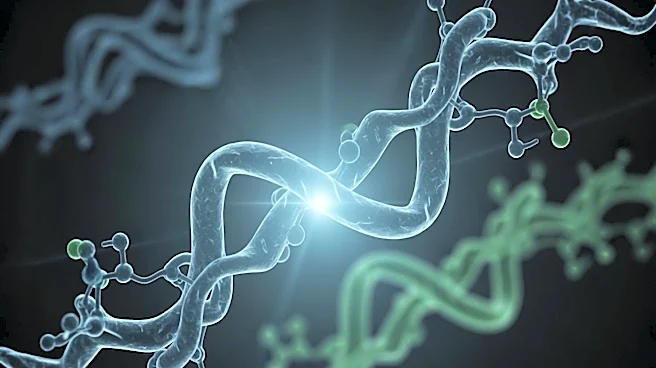 Study Finds Inhibition of SerpinB3/PAR2 Axis Reduces Liver Cancer Development