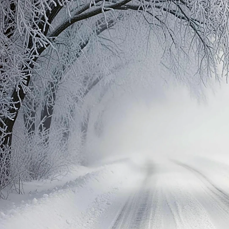 National Weather Service Issues Heavy Snow Warning for Wyoming and Surrounding States, Travel Could Be 'Impossible'