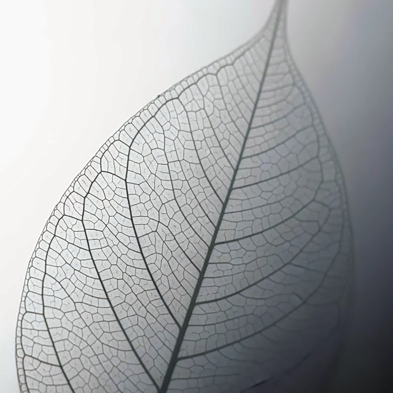 American Lung Association Report Reveals High Air Pollution Exposure Among U.S. Children