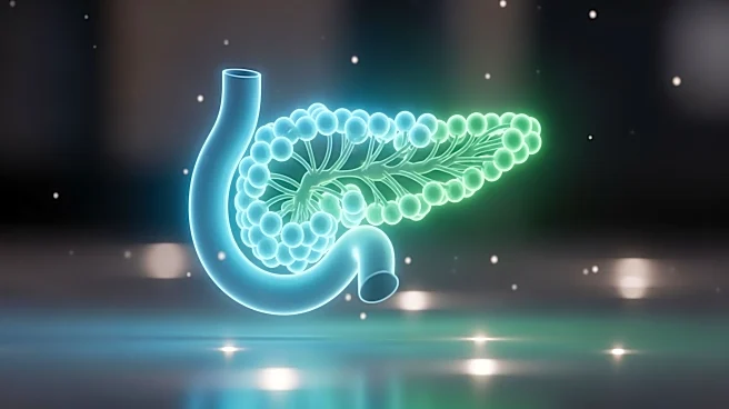 Promising Treatments for Pancreatic Cancer Offer Hope for Improved Survival Rates