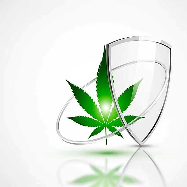 National Campaign Launched to De-Schedule Cannabis and Protect Patient Rights