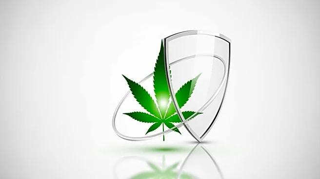 National Campaign Launched to De-Schedule Cannabis and Protect Patient Rights