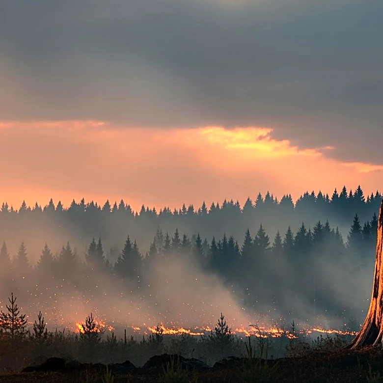 Wildfires in Colorado Prompt Evacuation Notices Amid Rapid Spread