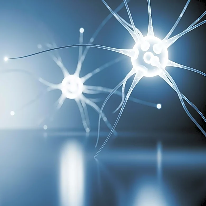 Texas A Researchers Develop Nasal Spray to Combat Brain Aging and Memory Loss