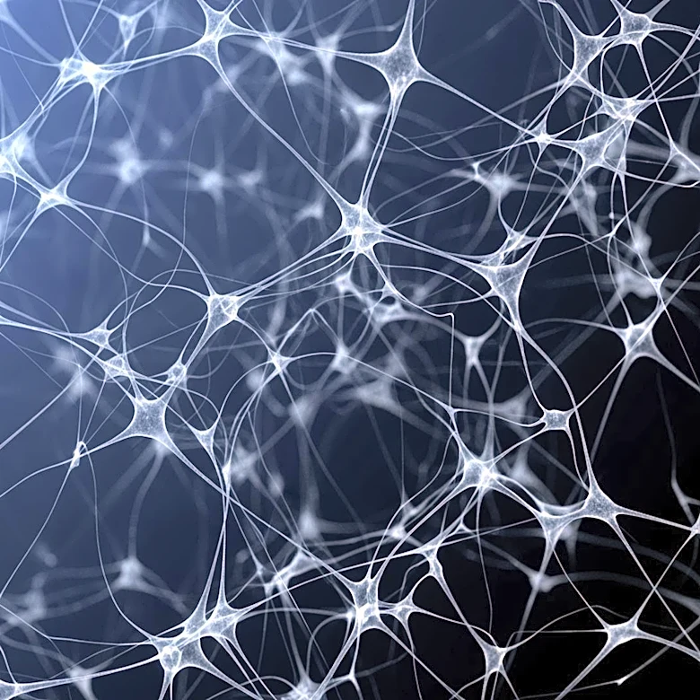 NYU Langone Study Reveals Astrocytes Form Complex Networks Across Mouse Brain