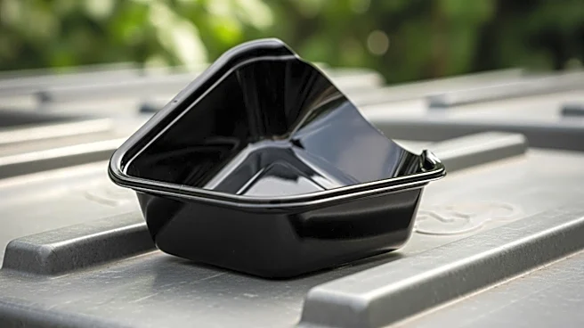 Recycling Challenges: Black Plastic Containers and Their Environmental Impact