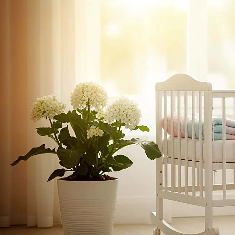 Northern Israel Welcomes Independence Day Baby Amid Post-Ceasefire 'Baby Boom'