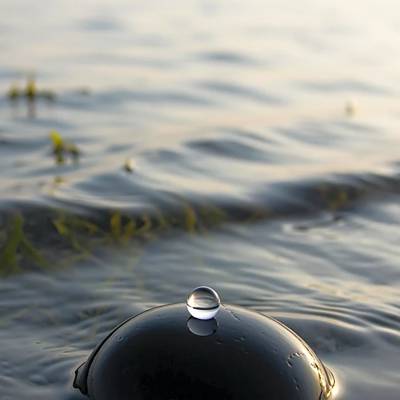 Flesh-Eating Bacteria Threats Increase in Long Island Waters