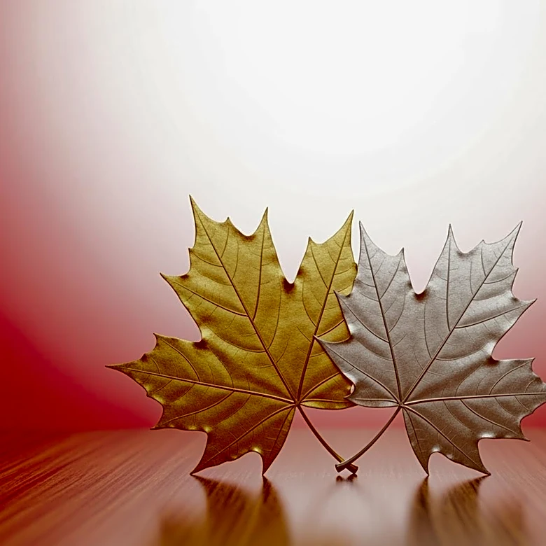 New Canadian Law Expands Dual Citizenship Eligibility for Millions of Americans