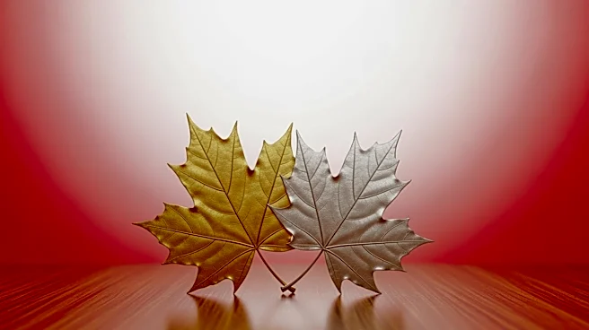 New Canadian Law Expands Dual Citizenship Eligibility for Millions of Americans