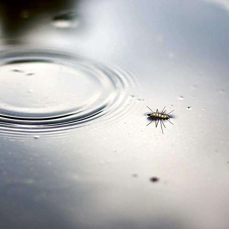 Roscoe Ends Mosquito Control Program, Raises Public Health Concerns