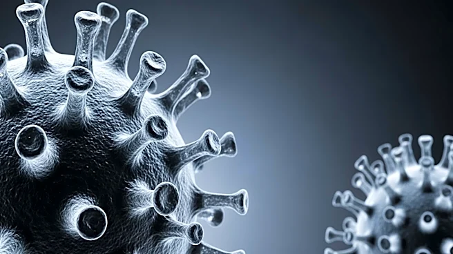 CDC Reports Doubling of Norovirus Cases in the U.S. Since August